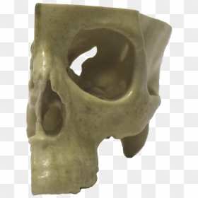 Front Of 3d Printed Half Skull - Skull, HD Png Download - 3d skull png