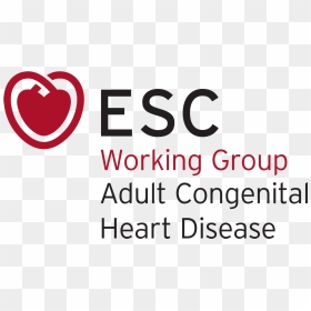 Cardiology, HD Png Download - heart logo png