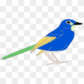 Bird Blue Jay Download - Pajaro Clipart, HD Png Download - blue jay png