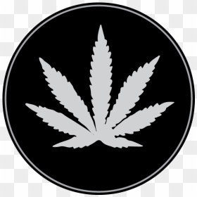 Plantillas Hoja De Marihuana , Png Download - White Weed Leaf Black Background, Transparent Png - marihuana png