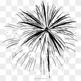 Fuegos-artificiales Página Para Colorear - Firework Black & White, HD Png Download - fuegos artificiales png