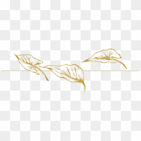 Clip Art, HD Png Download - gold leaf png