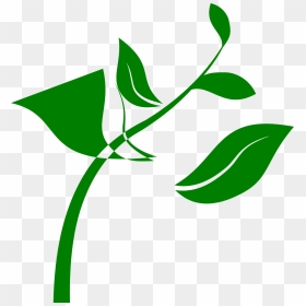 Transparent Stem Clipart - Grow Plant Clip Art, HD Png Download - stem png