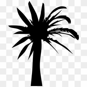 Palm Tree Svg Clip Arts - Palm Oil Tree Silhouette, HD Png Download - palm tree clip art png