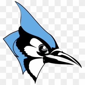 Head Clipart Blue Jay - Blue Jay Johns Hopkins Logo, HD Png Download - blue jay png