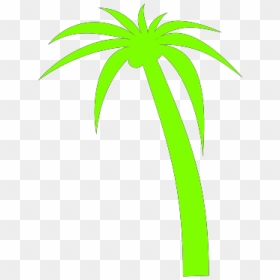 Palm Tree Clip Art, HD Png Download - palm tree clip art png