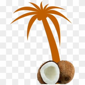 Mq Orange Palmtree Palm Coconut - Vector Green Coconut Tree, HD Png Download - palm tree clip art png