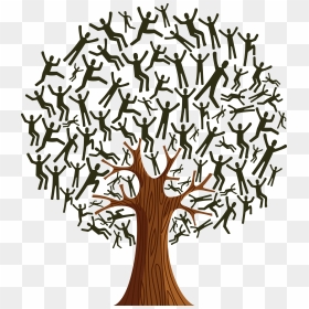 Tree Team, HD Png Download - bell curve png