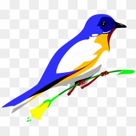 Flying Blue Jay Png Art - Parrot Transparent Background Free Clipart, Png Download - blue jay png
