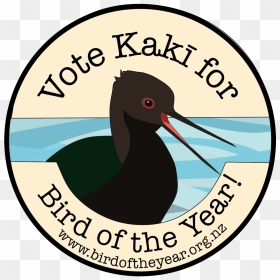 Vote For Kakī On Twitter - Illustration, HD Png Download - cameron dallas png
