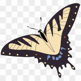 Butterfly Insect Animal Free Photo - フリー 画像 昆虫 イラスト, HD Png Download - butterfly vector png