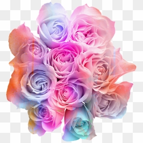 Colorful Flowers Transparent Background, HD Png Download - rose bouquet png