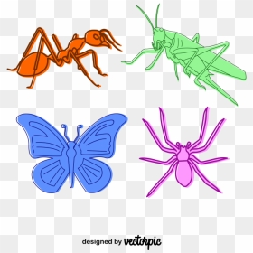 Lycaenid, HD Png Download - butterfly vector png