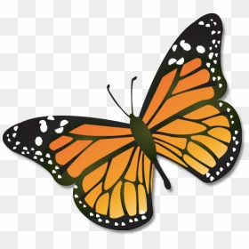 Monarch Clipart - Animated - Monarch Butterfly Clipart, HD Png Download - real butterfly png