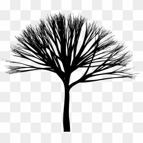 Skinny Tree Silhouette 3 Clip Arts - Clip Art, HD Png Download - tall pine tree silhouette png