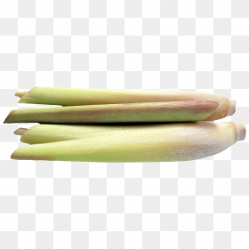 Lemongrass - Cymbopogon Png, Transparent Png - lemongrass png