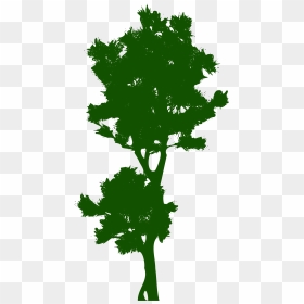 Tree Public Domain Clip Art - Pohon Tinggi Vektor, HD Png Download - tall pine tree silhouette png
