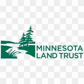 Minnesota Historical Society, HD Png Download - tall pine tree silhouette png