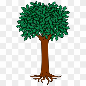 Tree Heraldry Png, Transparent Png - tree symbol png