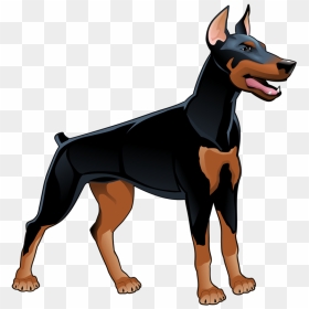 Hund Animal Illustrations, Animal Drawings, Doberman - Doberman Clipart, HD Png Download - doberman png