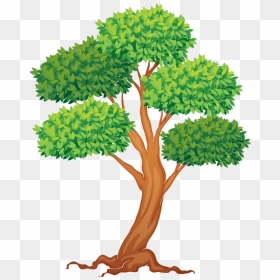 Tree * Tree Drawings, Tree Clipart, Tree Illustration, - Trees Cliparts, HD Png Download - tree illustration png