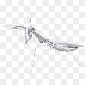 Metal Erath Bugs - Metal Earth Praying Mantis, HD Png Download - mantis png