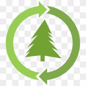 Transparent Tree Symbol Png - Recycle Trees Symbol, Png Download - tree symbol png