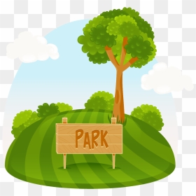 Amusement Park Tree Illustration - Park Clipart, HD Png Download - tree illustration png