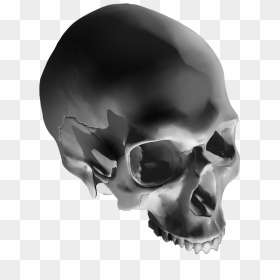 Skull, HD Png Download - 3d skull png