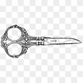 Scissor Clipart Fancy - Transparent Fancy Scissors, HD Png Download - fancy arrow png