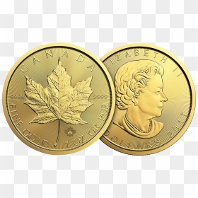Transparent Gold Leaves Png - 50 Dollar Gold Coin Canada, Png Download - gold leaves png