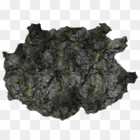 05 854k Moss Sc1 06 Feb - Igneous Rock, HD Png Download - moss texture png