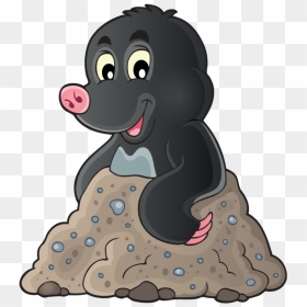 Welcome To Maths Mole - Mole Png, Transparent Png - mole png