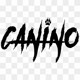 Dj Canino Rome Ny Owl Birthdays - Hunterz, HD Png Download - dj silhouette png