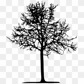 Silhouette, HD Png Download - tree illustration png