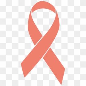 Peach Colored Uterine Cancer Ribbon - Black Cancer Ribbon Png, Transparent Png - ribbon.png