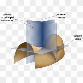 Transparent Vectores Lineas Png - Negative Gaussian Curvature, Png Download - vectores lineas png