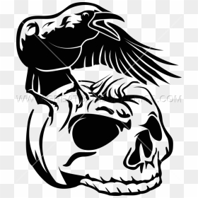 Crow Pumpkin Skull - Crow On Skull Clipart, HD Png Download - skull drawing png
