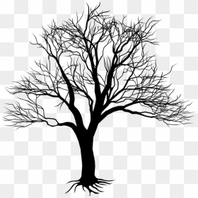 Tree Drawing Png - Kill A Mockingbird Tree, Transparent Png - tree illustration png