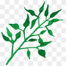 Mint Leaves Png, Transparent Png - mint leaves png