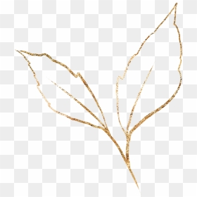 Drawing, HD Png Download - gold leaves png