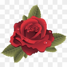 10 Roses Vector Png Files Images Flower Vector Graphics - Rose Flower Vector Png, Transparent Png - roses vector png