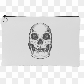 Hand Drawn Anatomical Human Skull - Skull, HD Png Download - skull drawing png