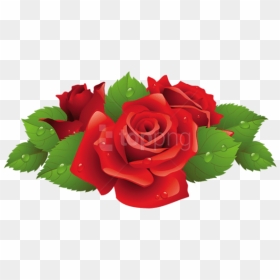 Roses Vector , Png Download - Blue Roses Clipart, Transparent Png - roses vector png