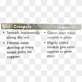 Screenshot, HD Png Download - creepers png