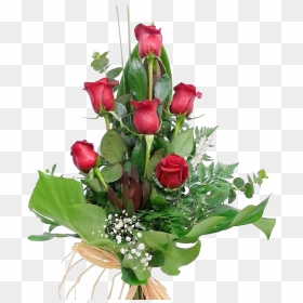 6 Rosas Rojas - Garden Roses, HD Png Download - rosas rojas png