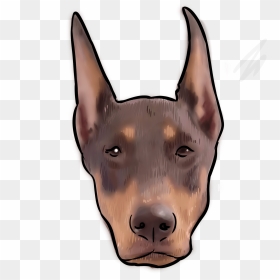 Dobermann, HD Png Download - doberman png