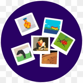 Polaroids Circle Sgberlin - Portable Network Graphics, HD Png Download - polaroids png