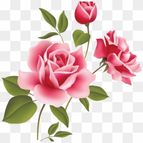 Pink Rose Clipart Pink Rose Art Picture Clipart Clipart - Rose Pink Flower, HD Png Download - roses vector png