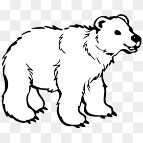 Thumb Image - Polar Bear Clipart Black And White, HD Png Download - cartoon bear png